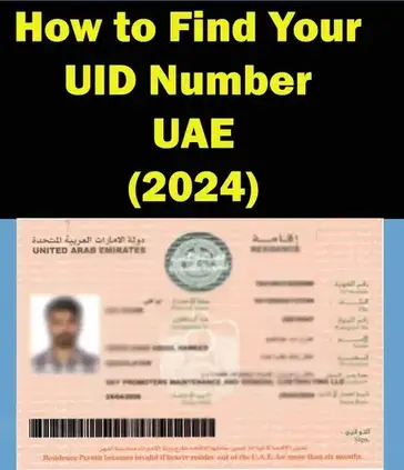 How to Find Your UID Number in the UAE (2024)